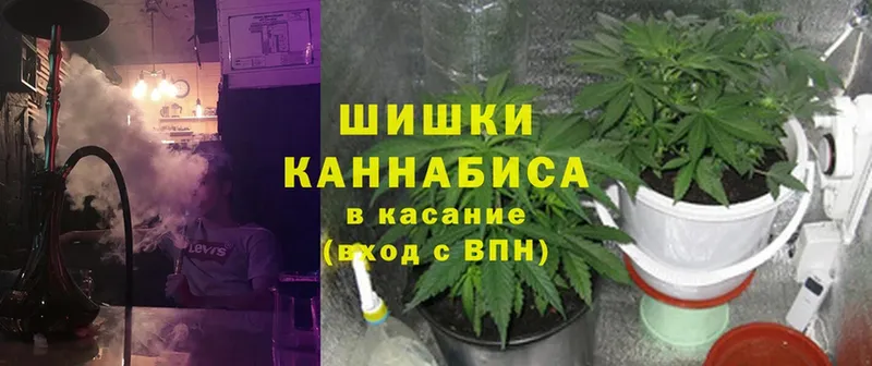 Марихуана THC 21%  Заволжск 